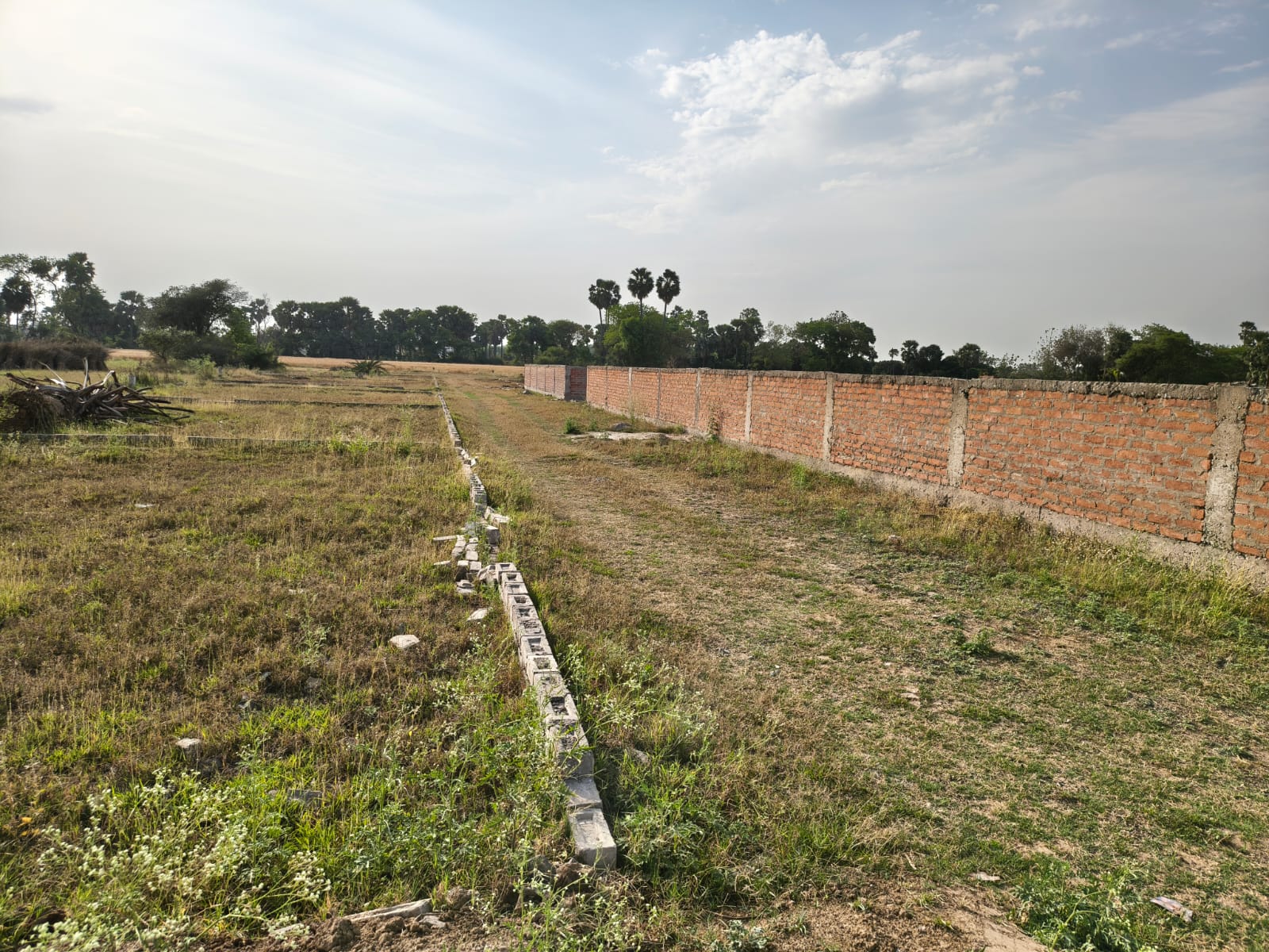 Green landscape